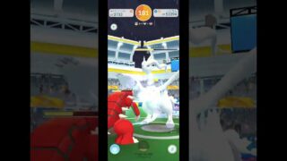 光った!【色違い！レシラム】びっくり、りゅうせいぐんの嵐 #ポケモンgo #ポケモン #pokemongo #レイドバトル #レシラム #グラードン #ガブリアス #色違い #shinypokemon