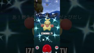 #色違い #ポケモンgo #shinypokemon  #pokemongo #pokemon #神引き #pokemoncards #ポケポケ