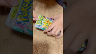 #pokemon #pokemoncards #ポケモンカード #ポケカ #ポケモン #ポケカ開封
