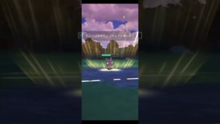 하이퍼리그에서도 활약하는 모르페코 #포켓몬고 #pokemongo #ポケモンgo #고배틀리그 #goバトルリーグ #gobattleleague #하이퍼리그 #ハイパーリーグ