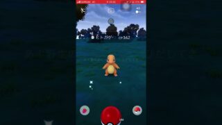 こんばんは！今日も一日お疲れ様でした！