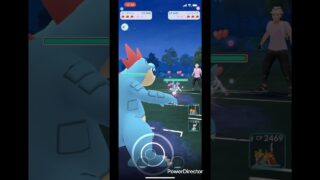 色違いニンフィア💕対戦しました