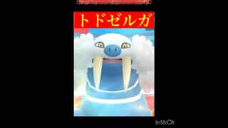 ハイパーでもトドゼルガ‼️