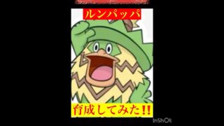 ハイパーでルンパッパ‼️