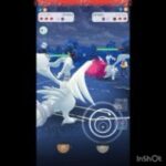 やっぱりレシラム強いわ‼️