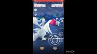 やっぱりレシラム強いわ‼️