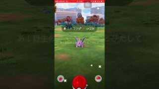 朝からちょいとだけやりました〜