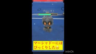 マーシャドーなんておるん！(◎_◎;)