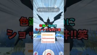 ゼクロム１１戦♪色違いは王冠候補⁉