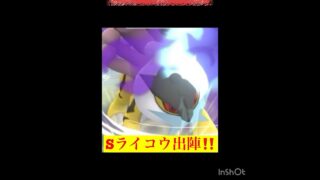 ゆけ！シャドウライコウ💨