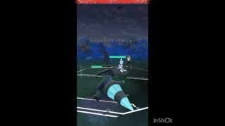 フェアリーにも強いゼクロム‼️