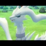 ポケモンバトル【マスターリーグ】vol_1722