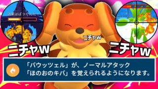 完封だと思ったぁ～？＾＾ﾆﾁｬﾆﾁｬｱ『バウッツェル』でドッキリしかけたら降参連続で過去一ニチャつけた犬(件)wwwwww【ポケモンGO】【スーパーリーグ】