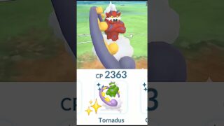 1 HP✨️Shiny Tournadus Destroy Grunt Badly in Pokemon Go