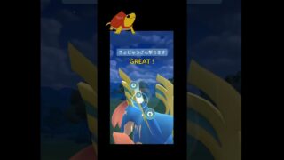 2週間ぶりにマスターリーグ開催！ #ポケモンgo #ポケモン#マスターリーグ #gbl