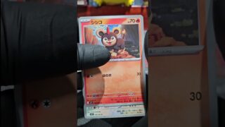 メガシンフォニアを開封するよ。2026 01 08 #ポケカ #ポケモンカード #ポケモン  #pokemon #pokemoncards