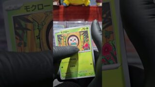 ナイトワンダラーを開封するよ。2026 01 14 #ポケカ #ポケモンカード #ポケモン  #pokemon #pokemoncards #ポケカ開封