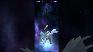 2体目のブラックキュレム完成！！#ポケモンgo #pokemongo #ポケモン