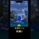色違い4匹！お正月2026の結果 #ポケモンgo