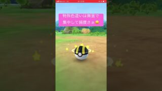 新年、撮影した色違い8匹目❤️今年8匹目（コミュデイ除く）、記念、記録動画🎥【ポケモンGO】#shorts #pokemon #shinypokemon