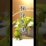 【無課金】約9年半で集めた伝説色違いコレクション