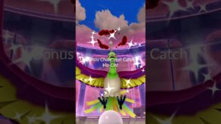 First ever Shiny Dynamax Ho-oh… #pokemongo #shorts #pokemon