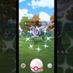 色違いキュレムだけは絶対にGETしたい◓⃙⁣ #ポケモンgo #色違いポケモン #キュレム