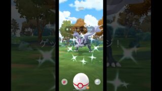 色違いキュレムだけは絶対にGETしたい◓⃙⁣ #ポケモンgo #色違いポケモン #キュレム