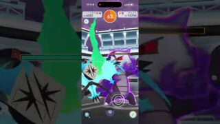 ポケモンGO シャドウガラガラ　ソロ討伐