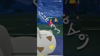 ポケモンGO 【後半戦】通常ハイパーリーグ トゲデマル、ゼクロム、ダダリン