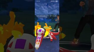 ポケモンGO 通常ハイパーリーグ ダダリン、トゲデマル、ゼクロム