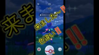 【ポケモンGO】バトル初め🎍初の色違いズガドーン🪩