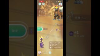 【ポケモンGO】エンティ色違いゲットしました🥺🙇‍♂️