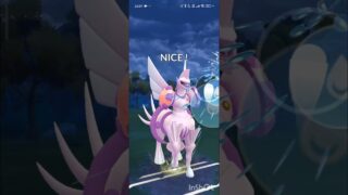 ポケモンGOバトルリーグ　マスターリーグ 1435