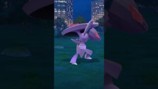 ポケモンGO ｜#147｜無課金｜ Pokémon GO