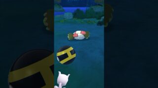 ポケモンGO ｜#150｜無課金｜ Pokémon GO