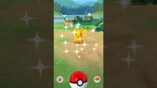 ポケモンGO ｜#153｜ Pokémon GO｜無課金