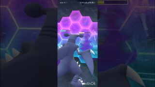 ポケモンGOバトルリーグ　マスタープレミア 165