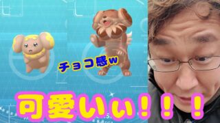 可愛いぃ！！！！色違いパピモッチ出たぞ〜！他にもあの色違いも初ゲット！新イベント情報含め話してます！見てね！【ポケモンGO】