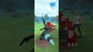 ポケモンGO 通常マスターリーグ 色ミュウツー、ゼクロム、色Bキュレム