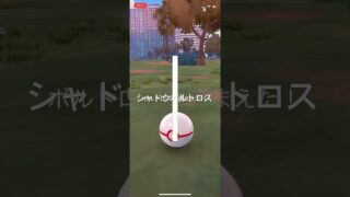 ポケモンGO GOロケット団リーダー・サカキを倒してシャドウボルトロスをゲット！ #pokémon #ポケモン #ポケモンgo