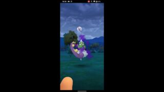 【ポケモンGO】サカキを倒して、トルネロスを捕まえました♪ No.2