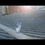 [GO Snapshot Slideshow] 님피아 ( Sylveon ) ニンフィア ( 仙子伊布 )