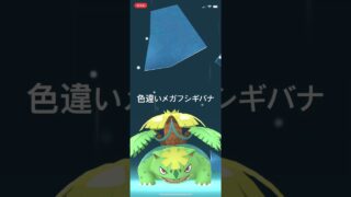 ポケモンGO 正月キャップの色違いフシギバナをメガシンカ！色違いメガフシギバナ #ポケモン #pokémon #ポケモンgo