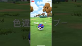 ポケモンGO 色違いエレブー出現！ #ポケモン #pokémon #ポケモンgo