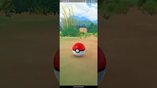 ポケモンGO　色違いイシズマイ #pokemongo #ポケモンgo #ポケモン #pokemon #excellent