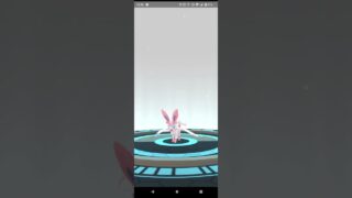 イーブイ進化　ニンフィア ポケモンGO #shorts