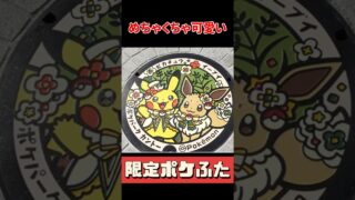 【ポケモンGO】ポケパークのロケーション背景狙うにもポケパークチケット買えずログイン止まった件 #ポケパークカントー #shorts