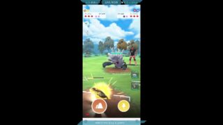 【ポケモンGO】スーパーリーグ46位のシャドウドデカバシを使ってバトルする　#ポケモンGO　#スーパーリーグ　#ツツケラ