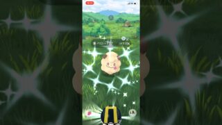 ポケモンGO色違いペロッパフGET！！#ポケモン #ポケモンgo #pokemongo